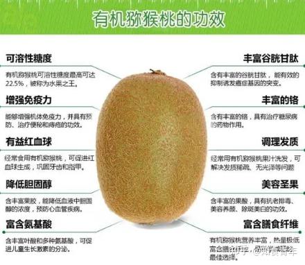 抗氧化作用,延缓衰老