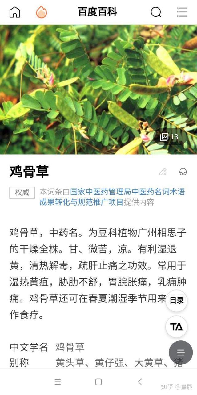 药用价值不容小觑