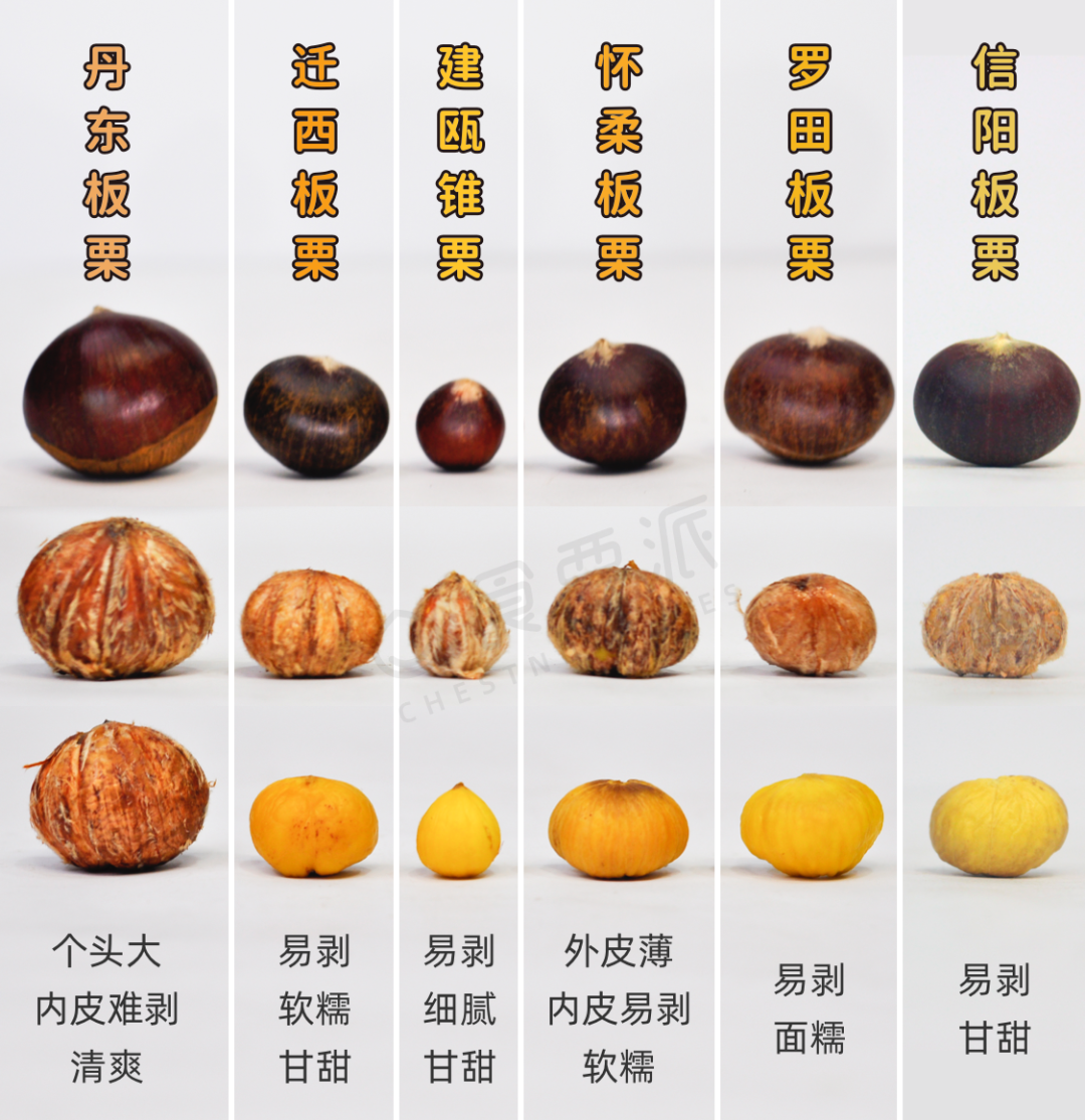 吃法多样,美味又养生