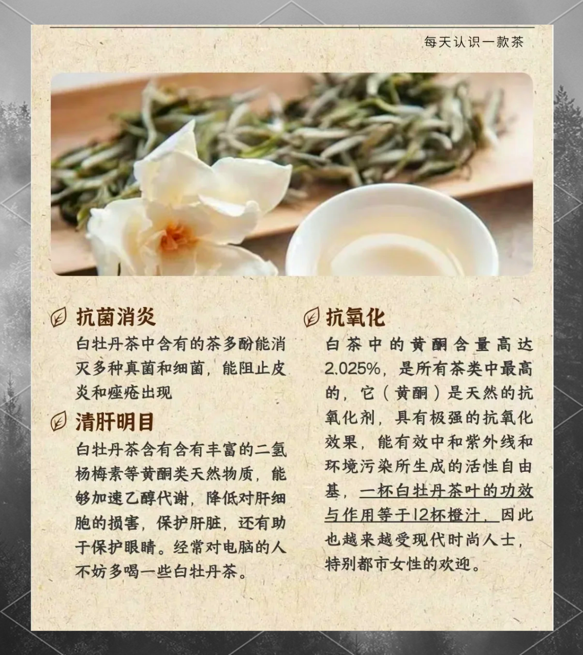 抗衰老,延缓岁月痕迹