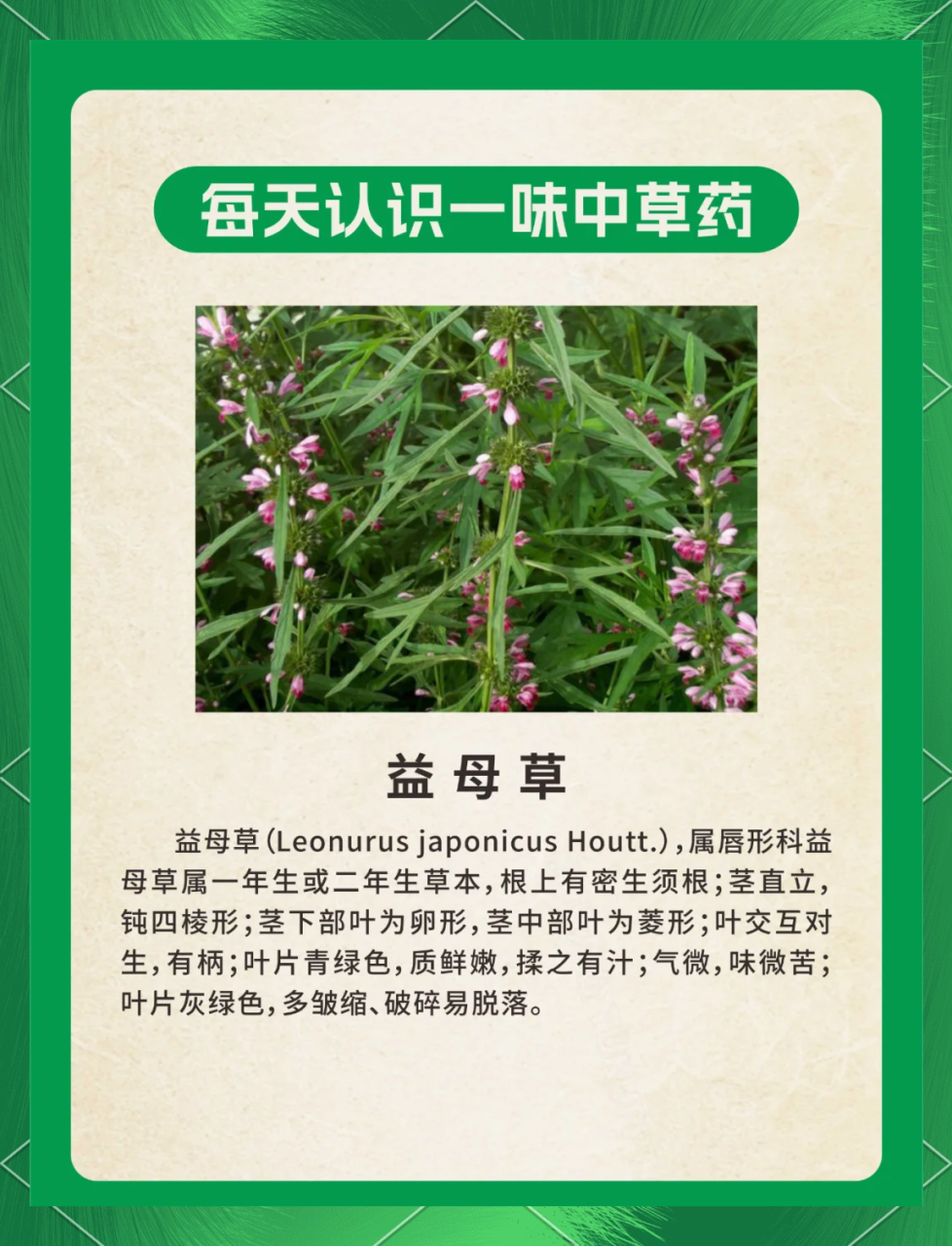 选择优质,安全第一