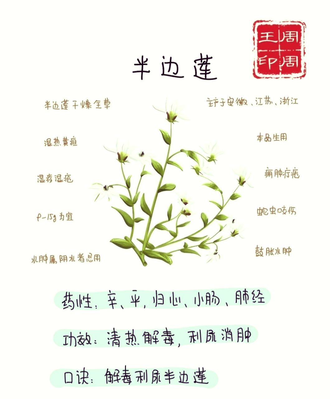 常见用途与使用方法