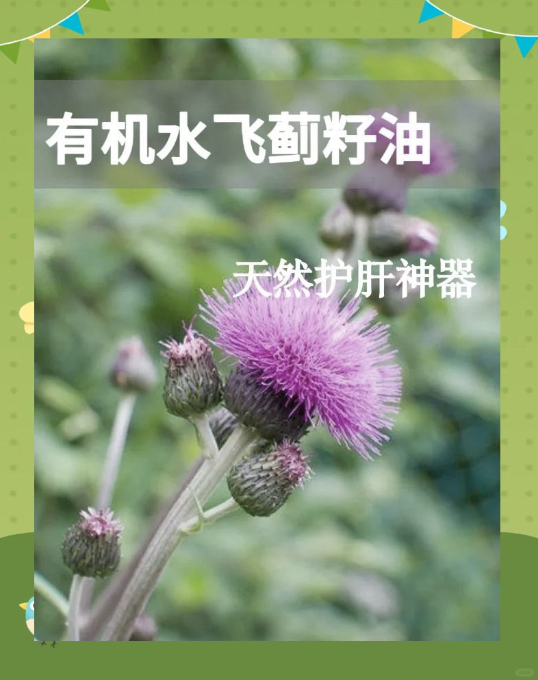 科学研究的支持