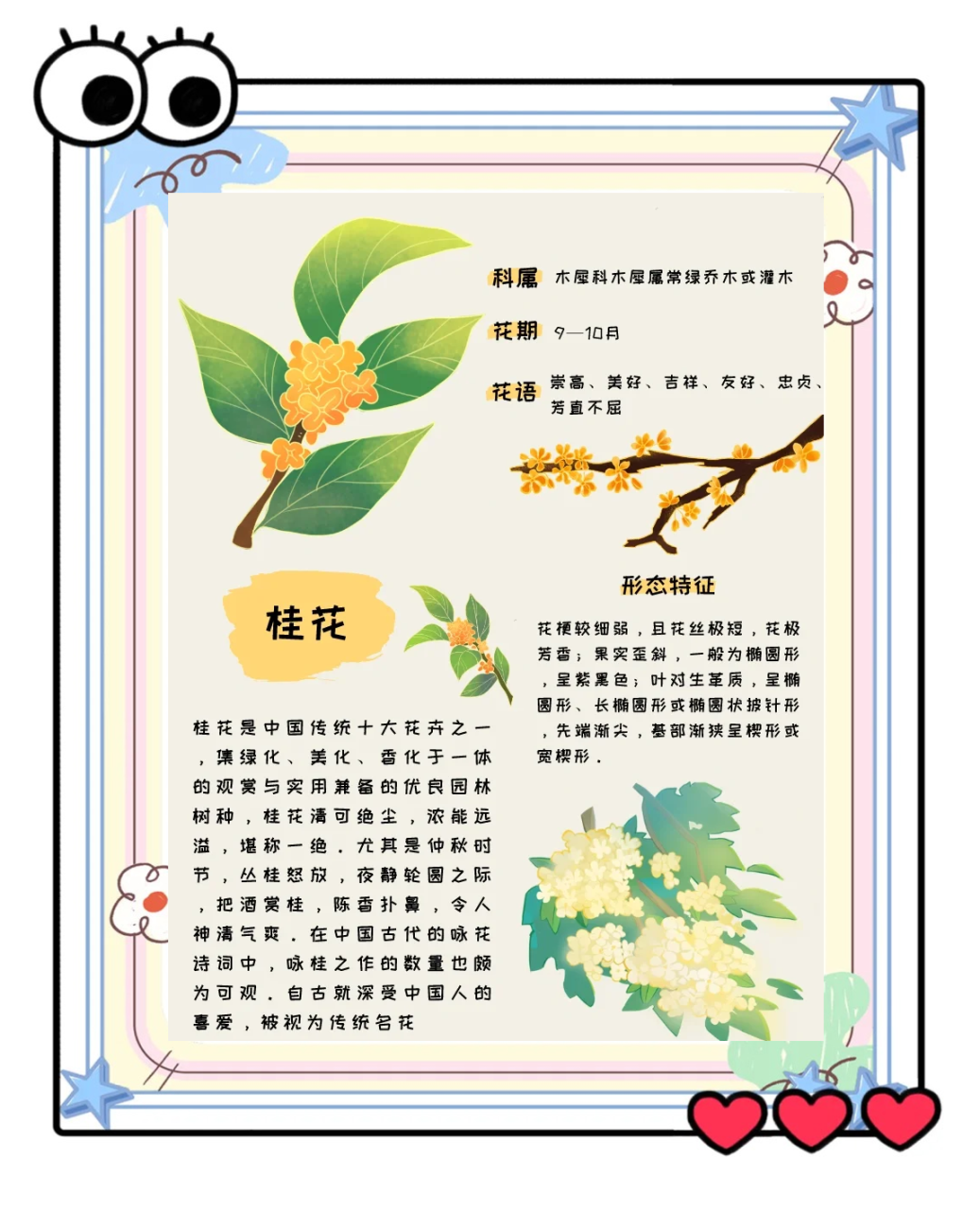 美容养颜,延缓衰老