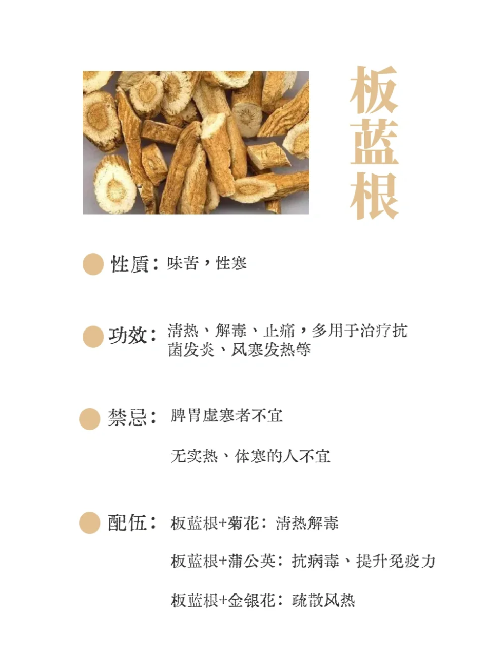 日常保健的小帮手