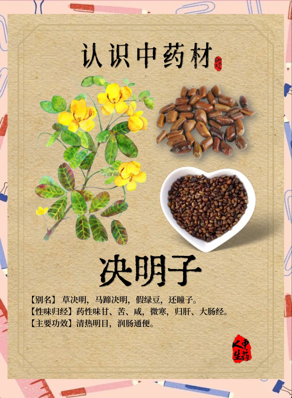 如何正确饮用决明子茶?