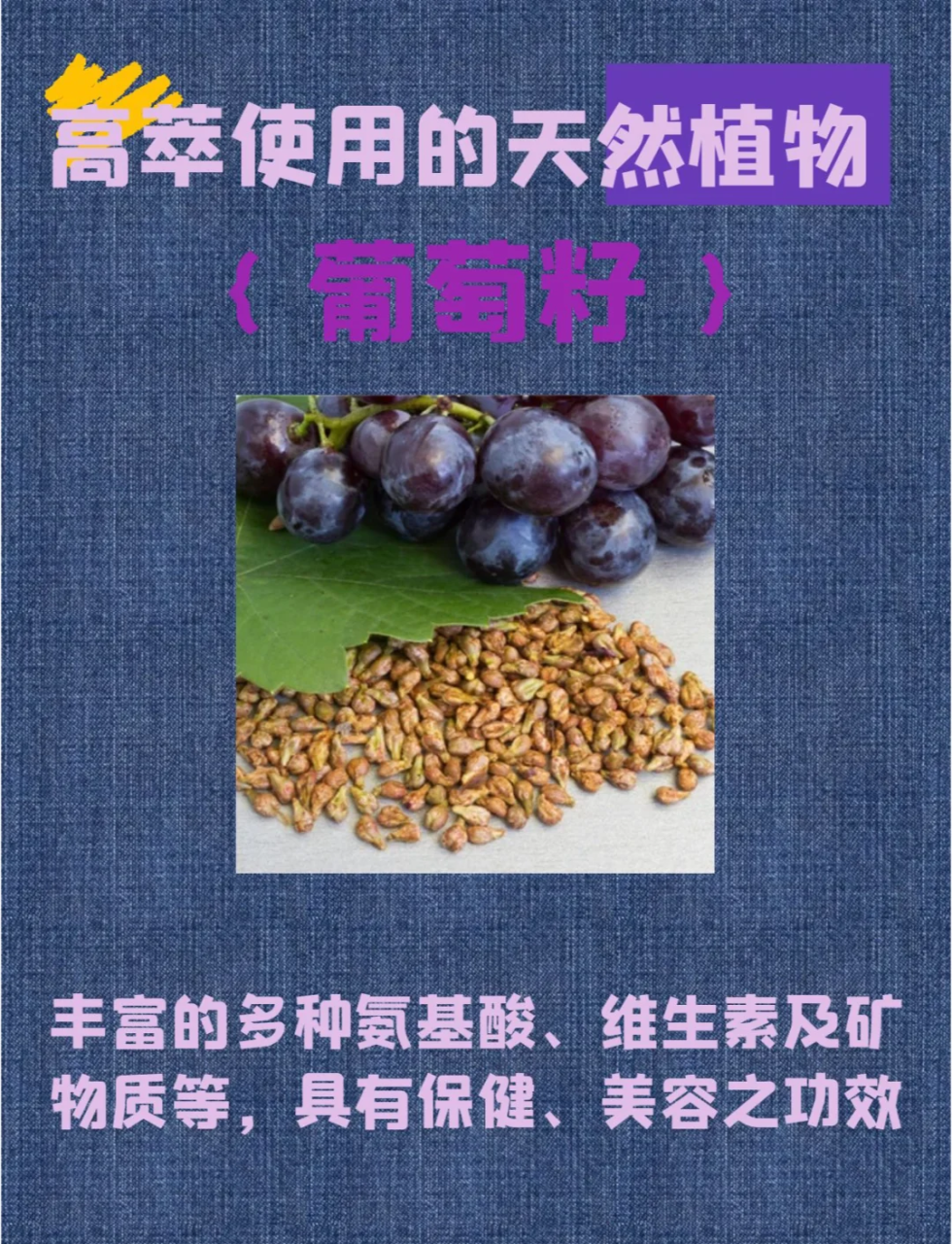 抗氧化,延缓衰老