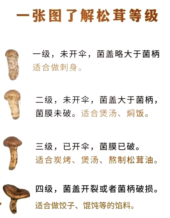 促进新陈代谢与排毒