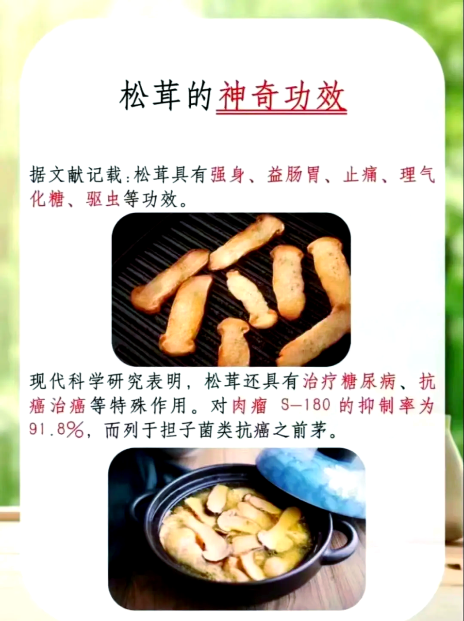 适合各类人群食用