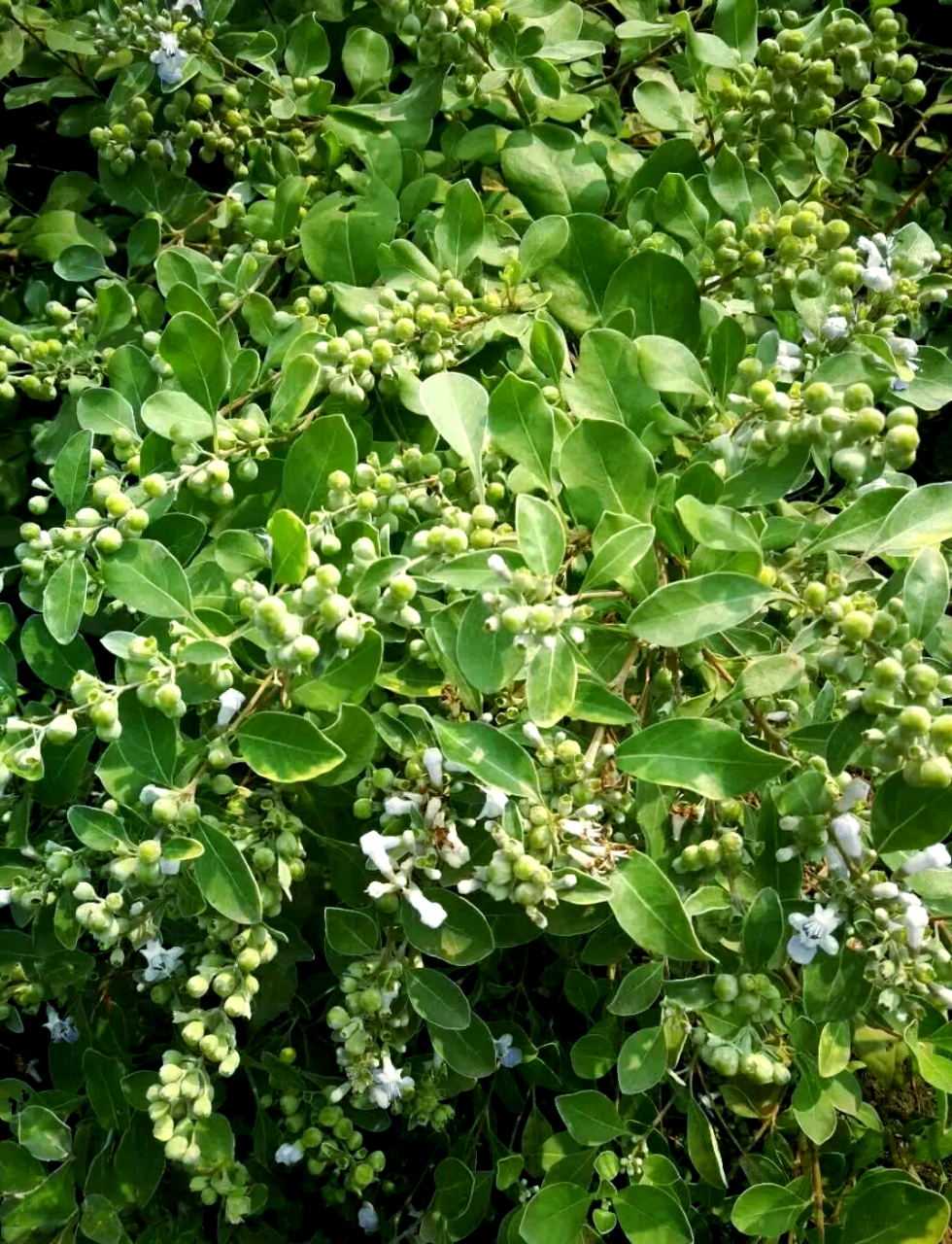 合理使用,发挥最大功效