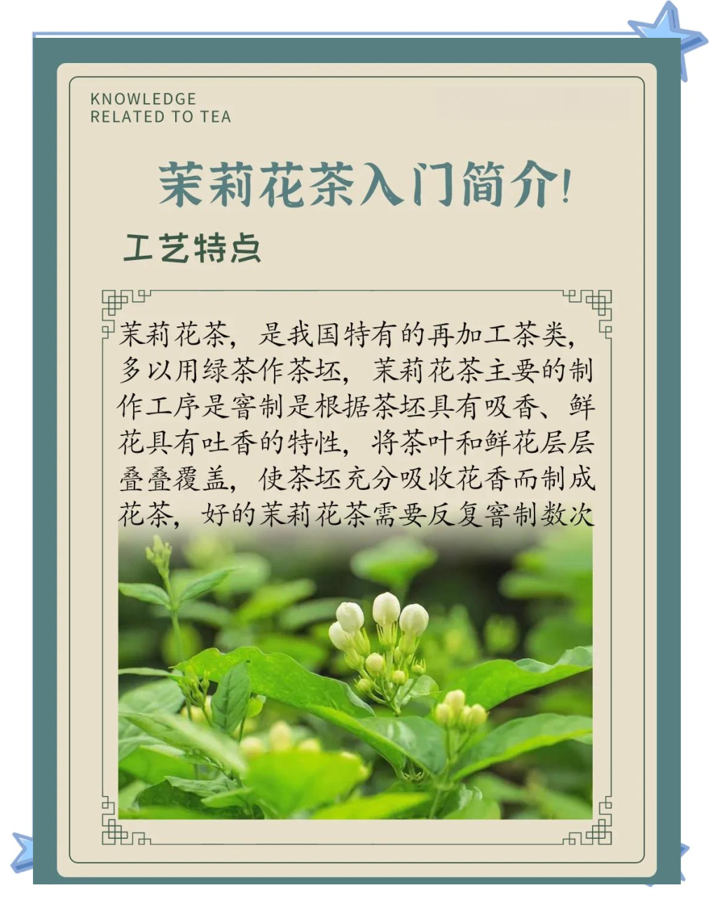 日常饮用的科学方式