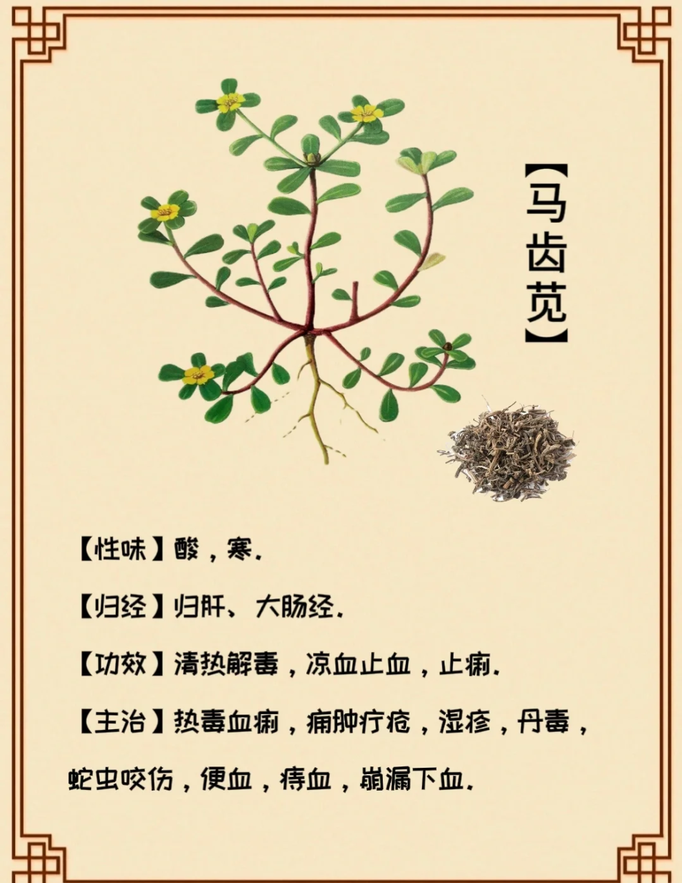 日常食用,简单又美味