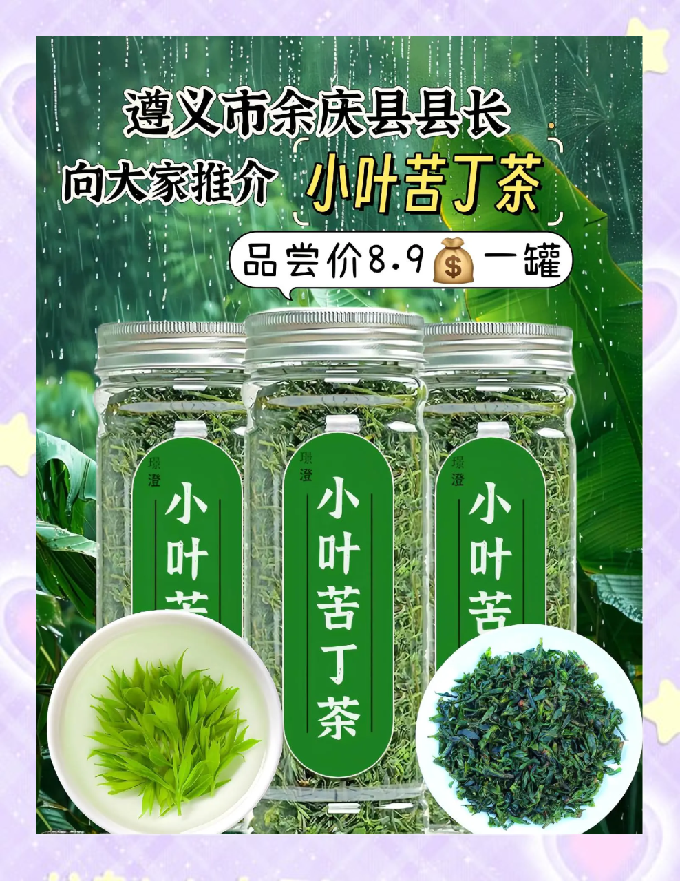 小贴士:苦丁茶适合哪些人群?