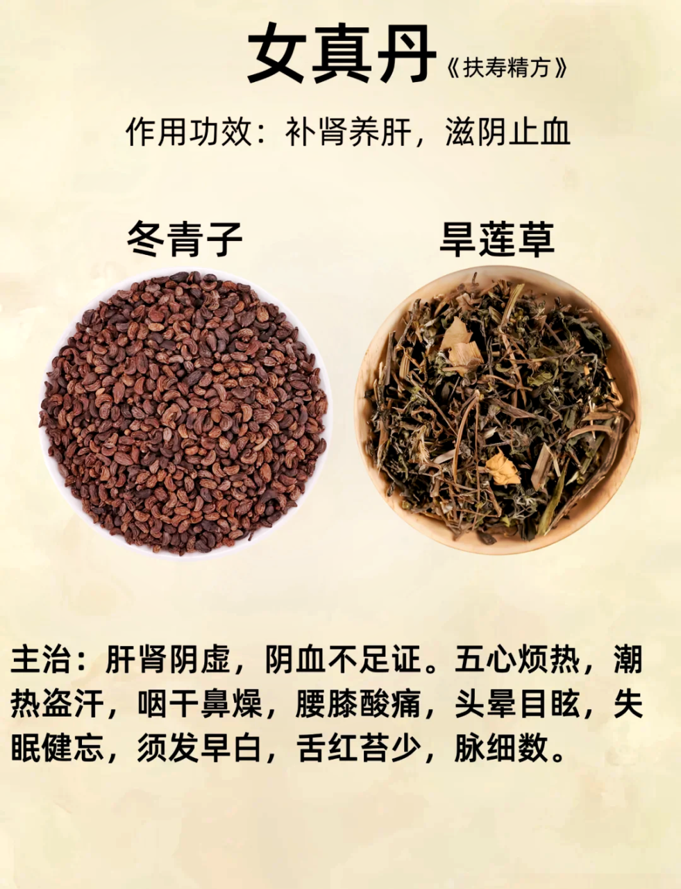 常见用途与使用方法