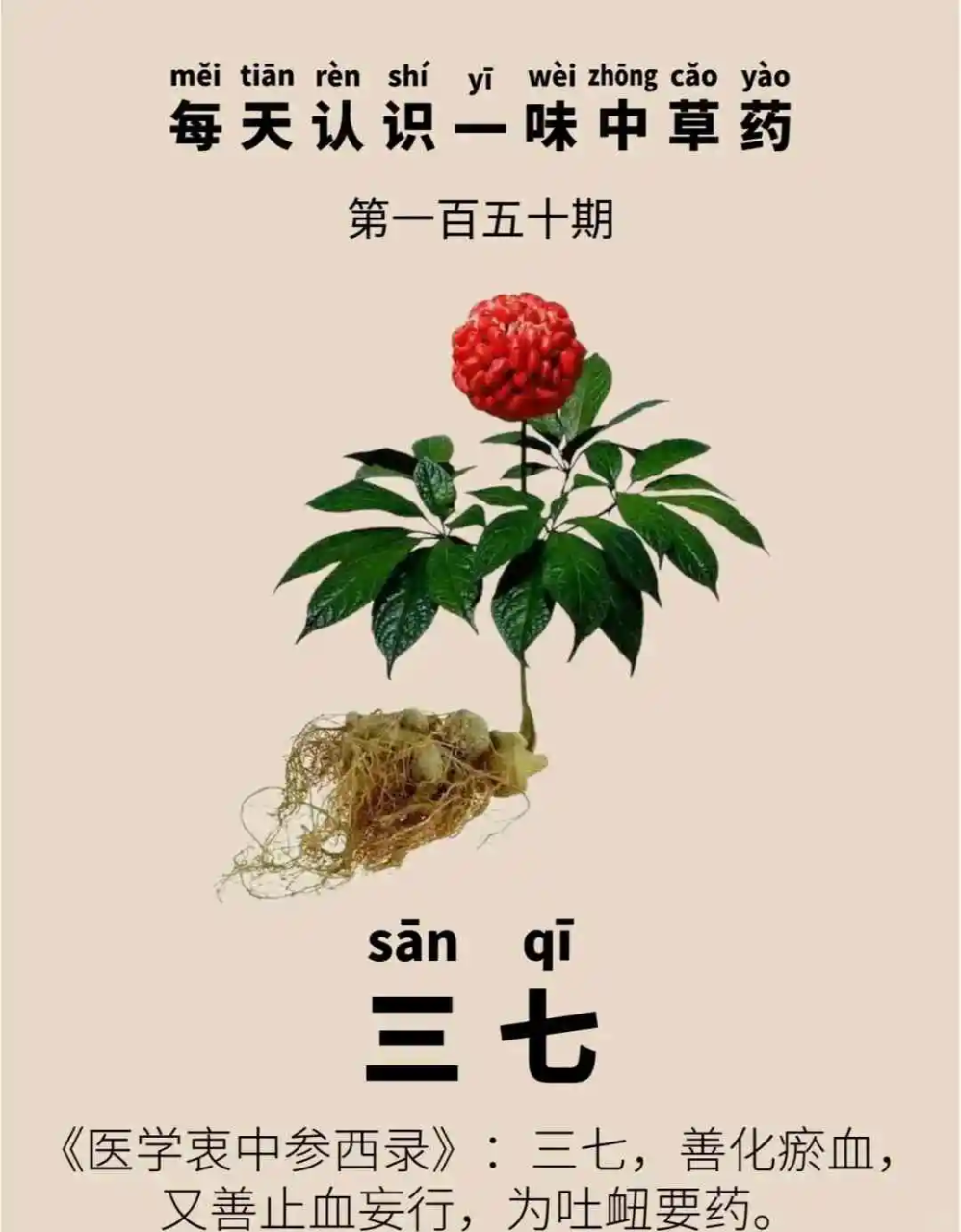 小编