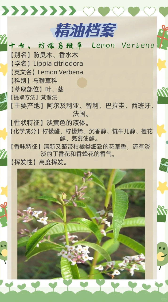 小小一株草,带来大健康