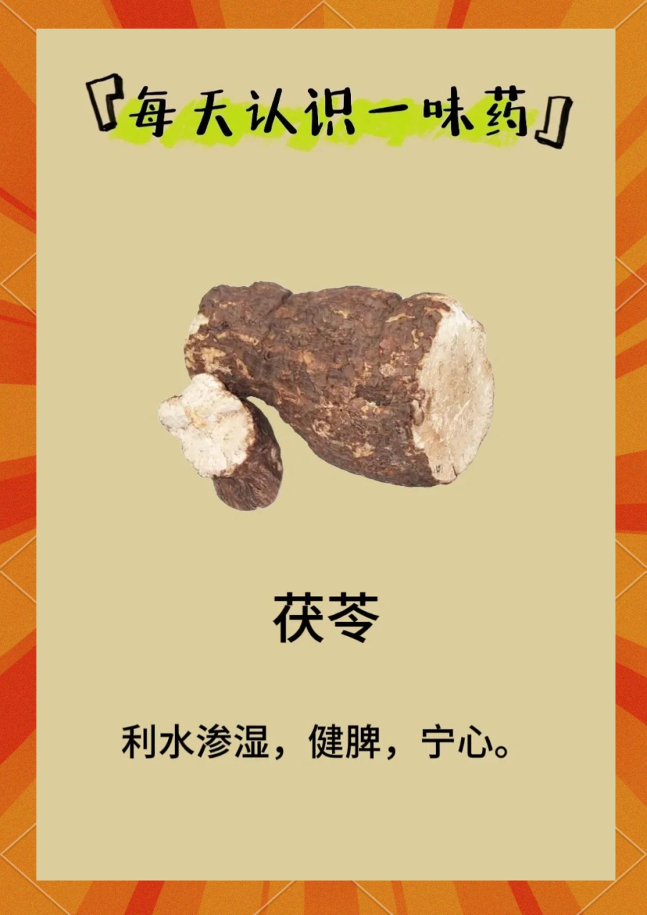 适合人群与使用建议