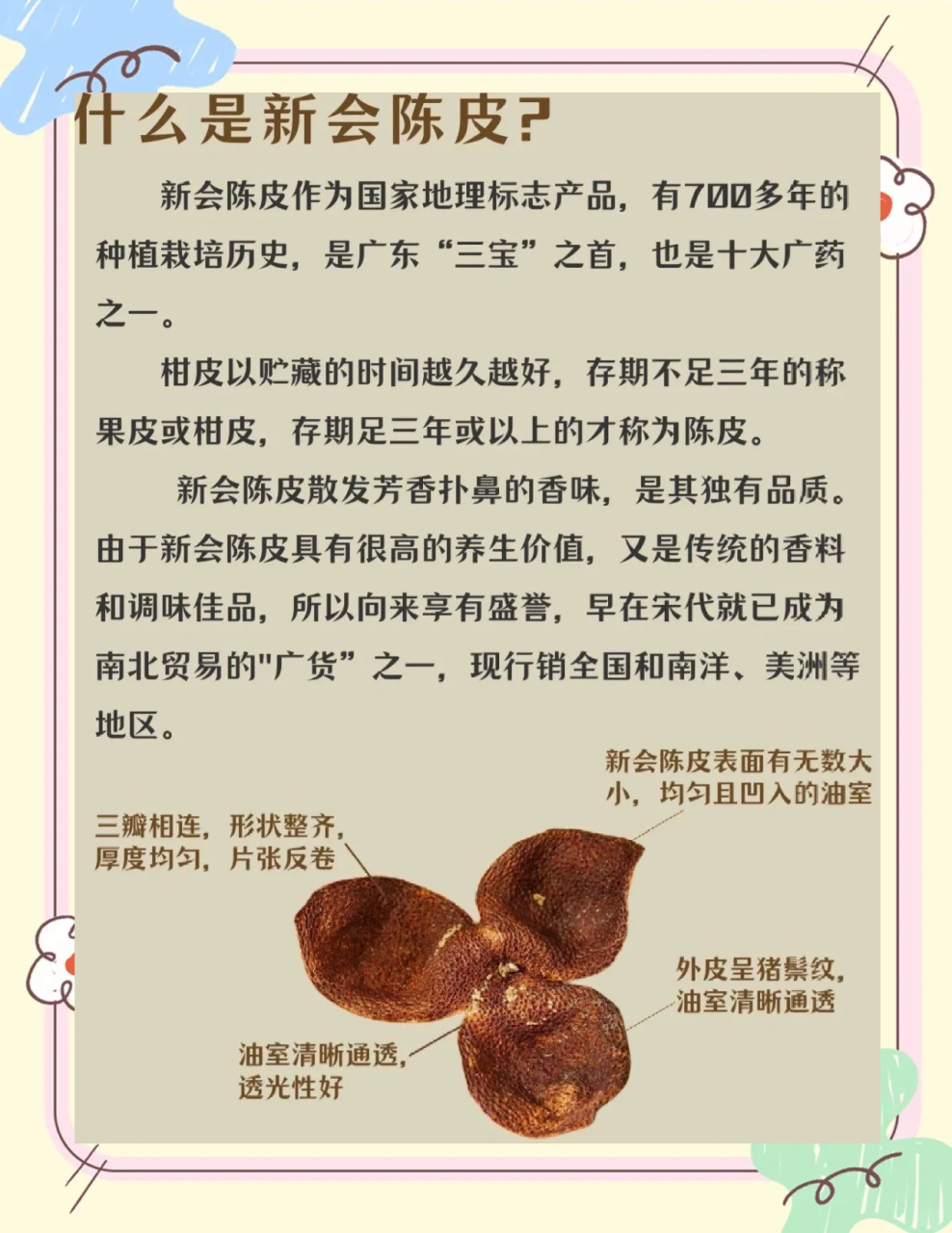 在日常生活中,新会陈皮的应用也非常广泛。可以泡水饮用,也可以加入炖汤或煮粥中,增添风味的同时也提升了营养价值。尤其是在秋冬季节,用新会陈皮搭配红枣、枸杞一起煮水,不仅暖身养胃,还能增强免疫力。