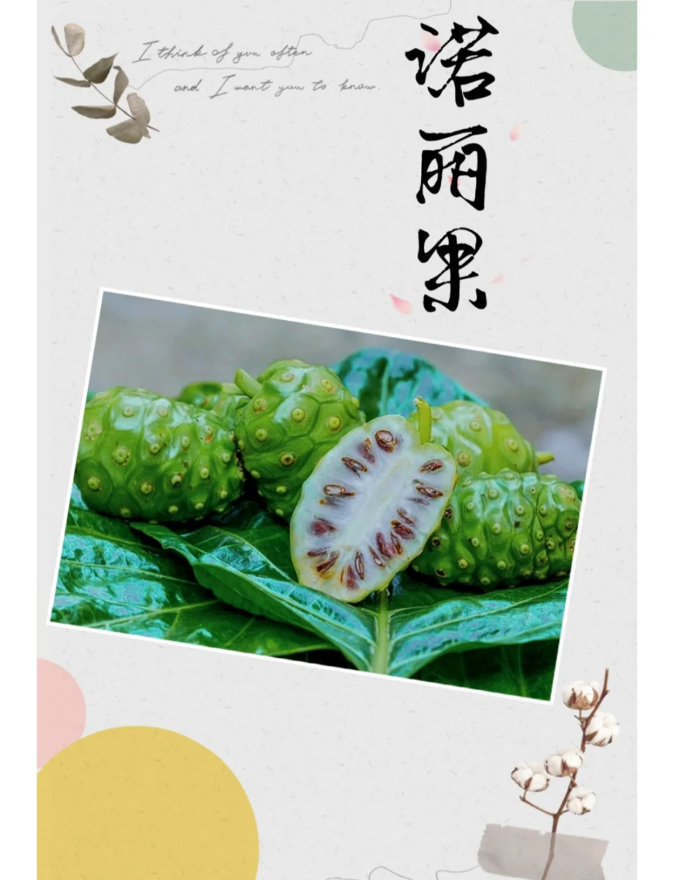 日常应用方式多样