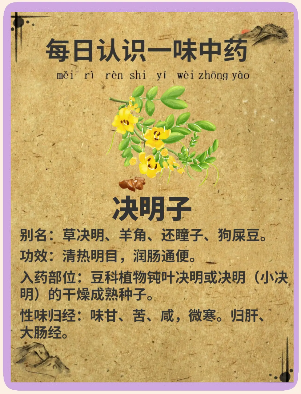 清肝降火,调节情绪