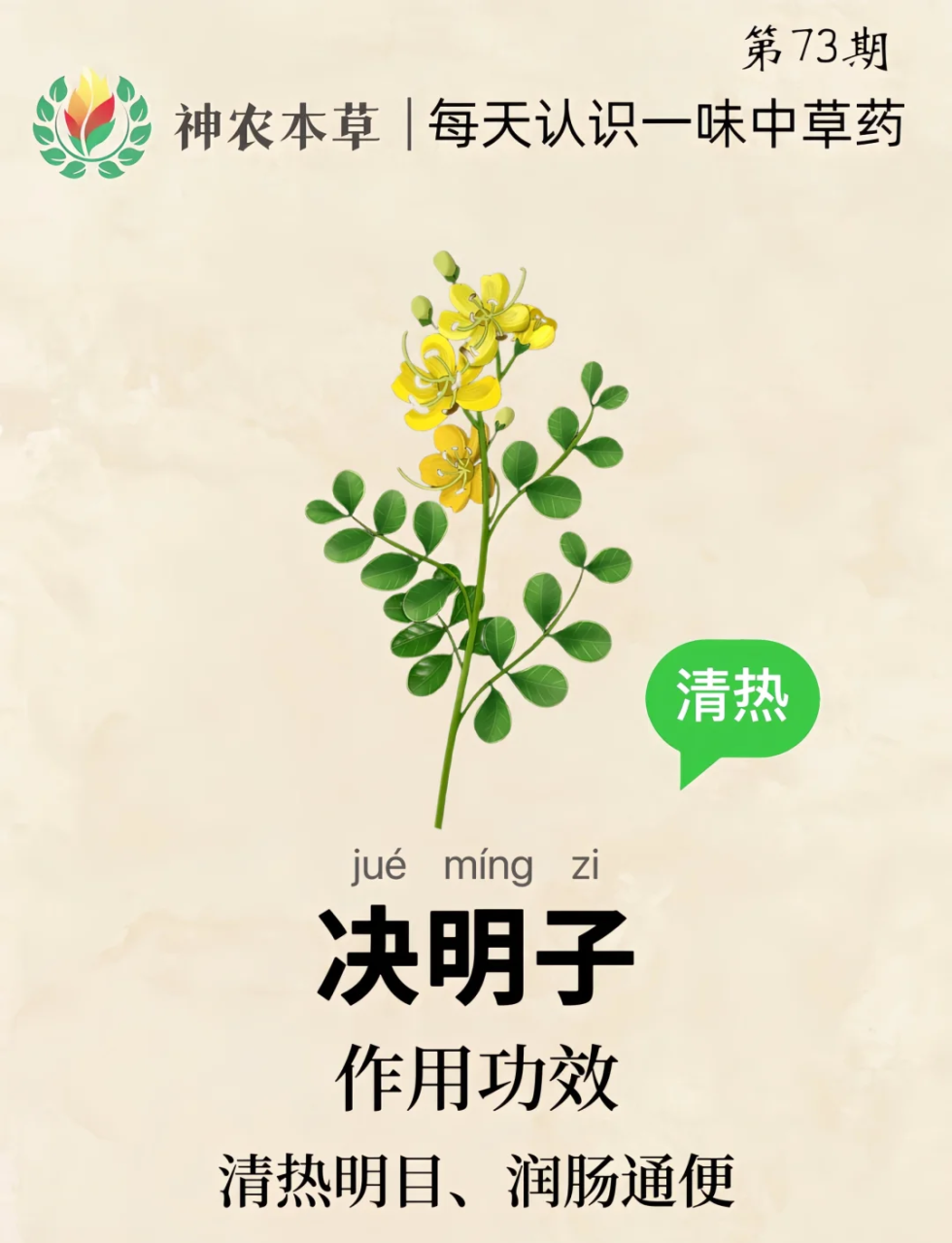 护心降压,预防疾病