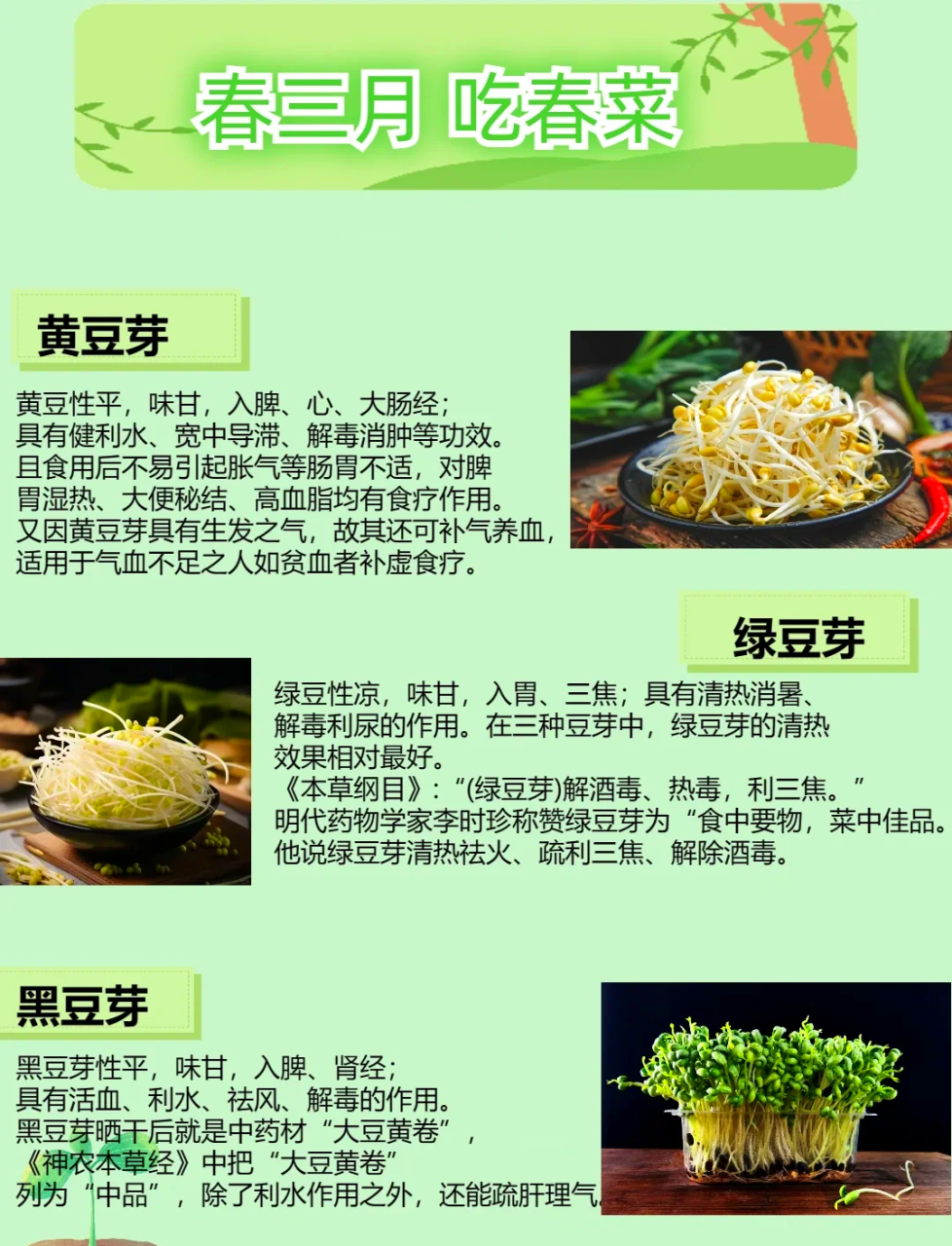 适合各类人群食用