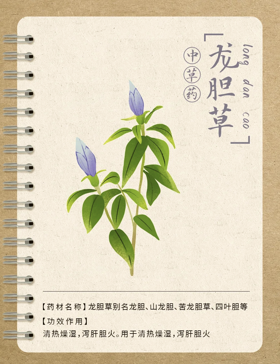 适合哪些人群使用?