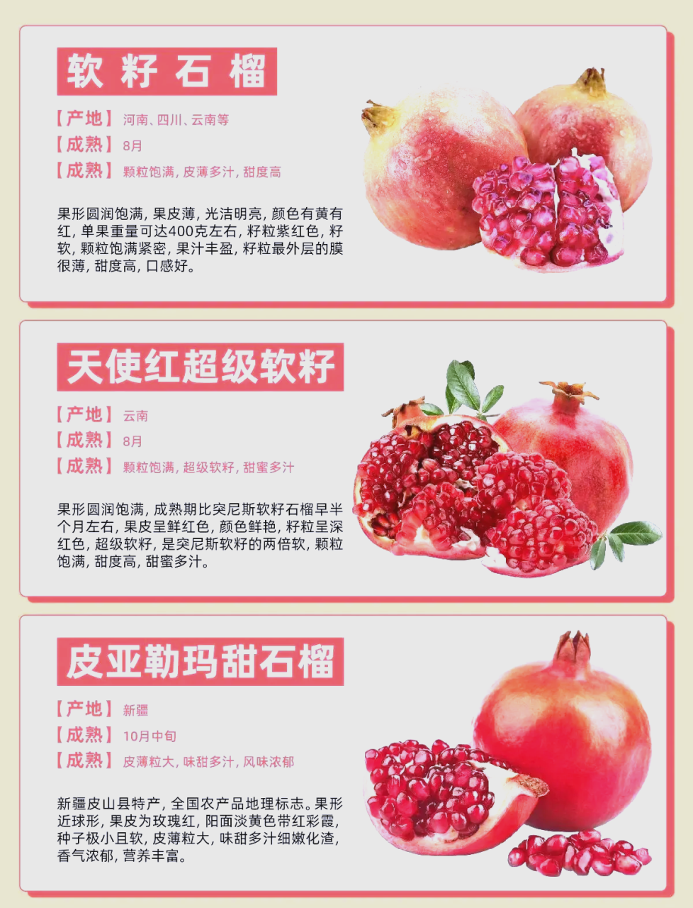 补血养颜,提升免疫力