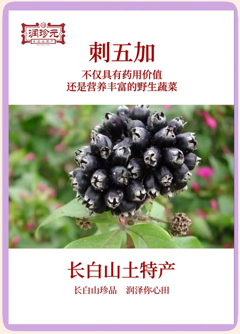 日常生活中如何巧妙利用