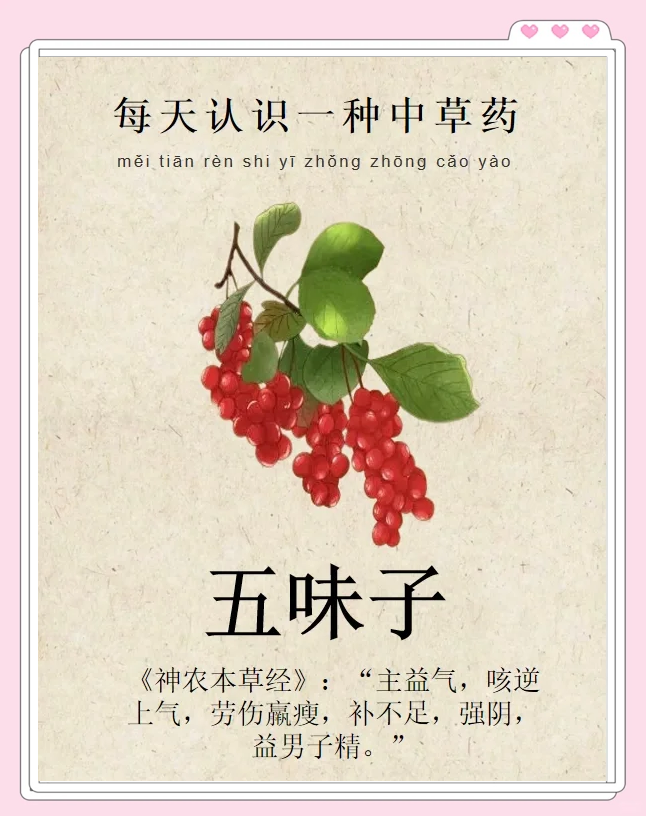 使用方法多样,方便实用