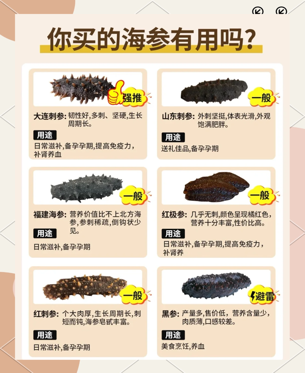 海参,健康生活的好帮手