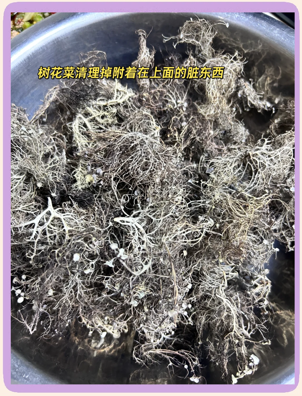 花菜的健康益处多样