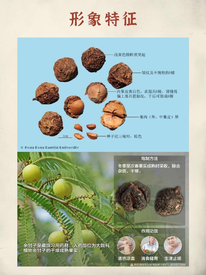 抗氧化,延缓衰老