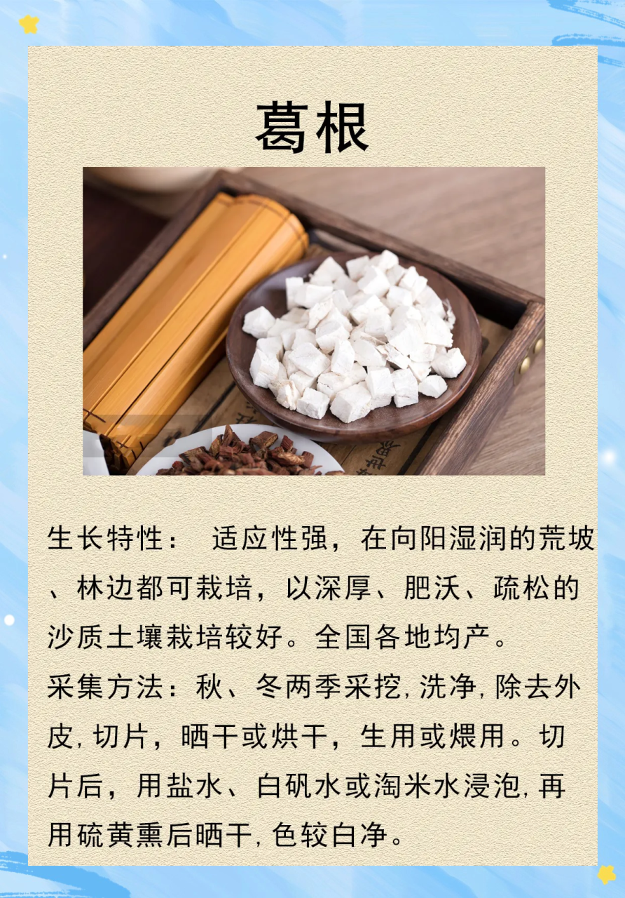 自然的力量,健康的守护