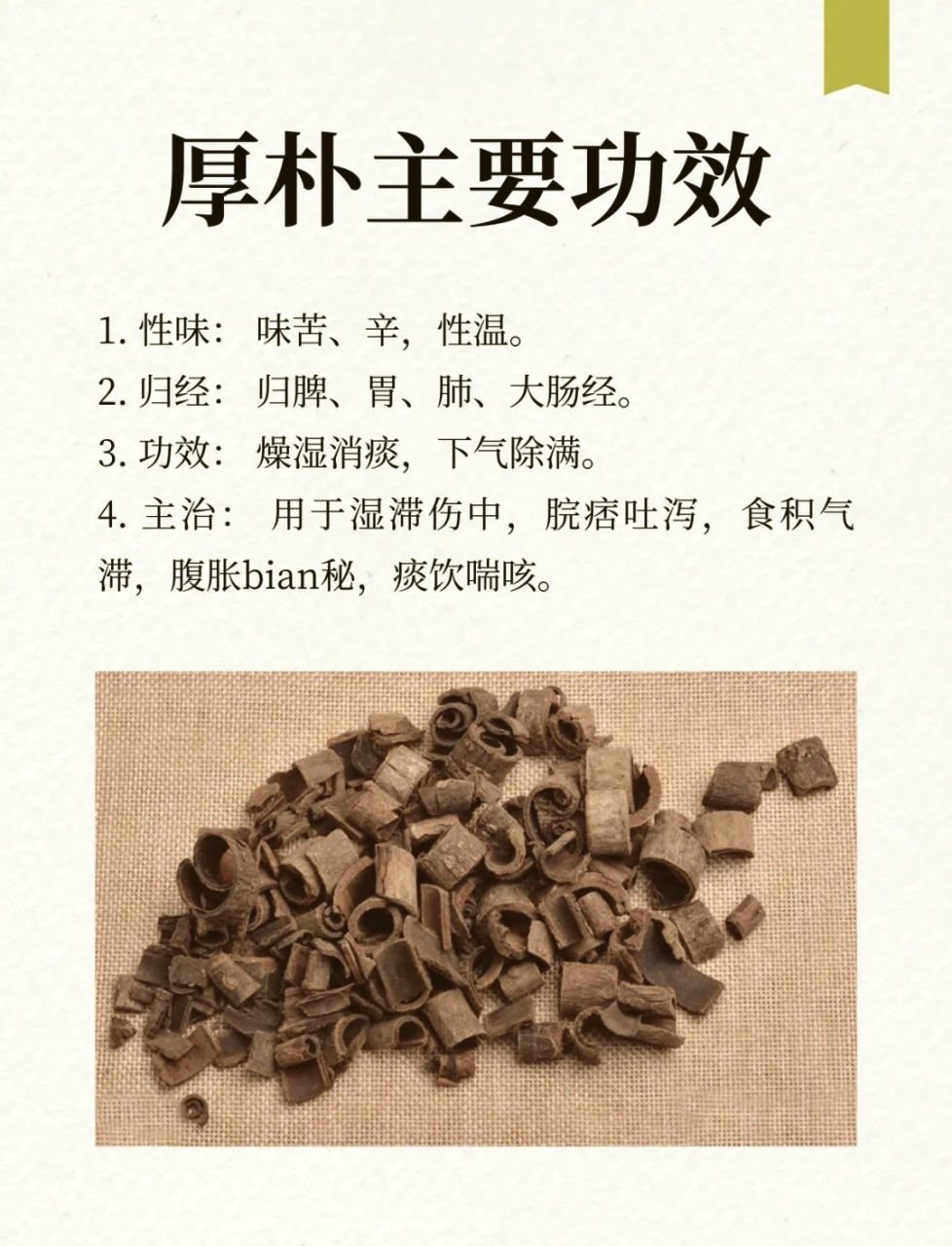 对消化系统的积极影响