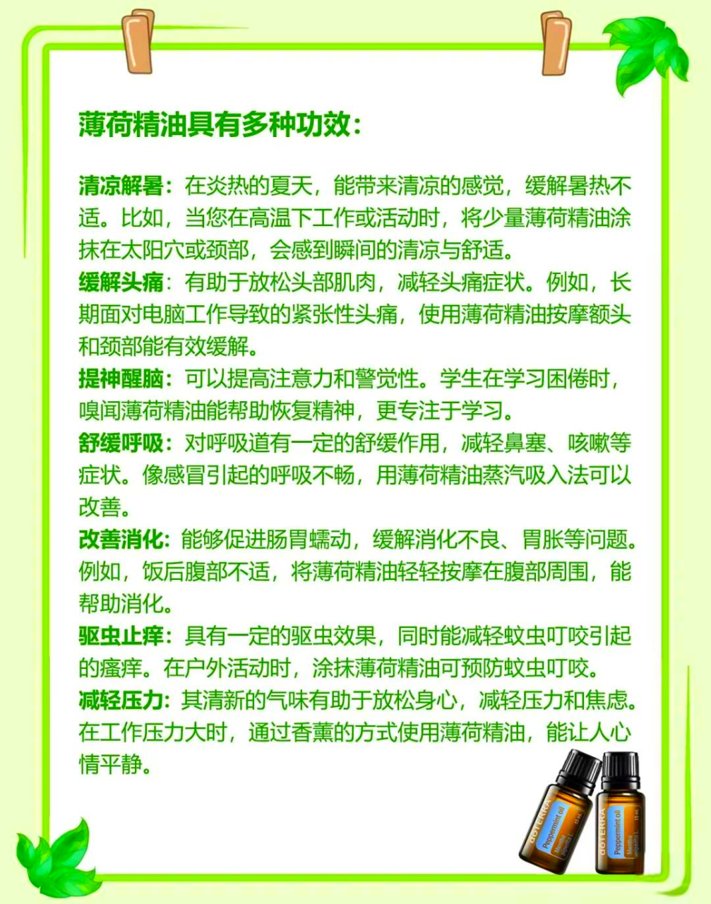 日常生活中的薄荷应用