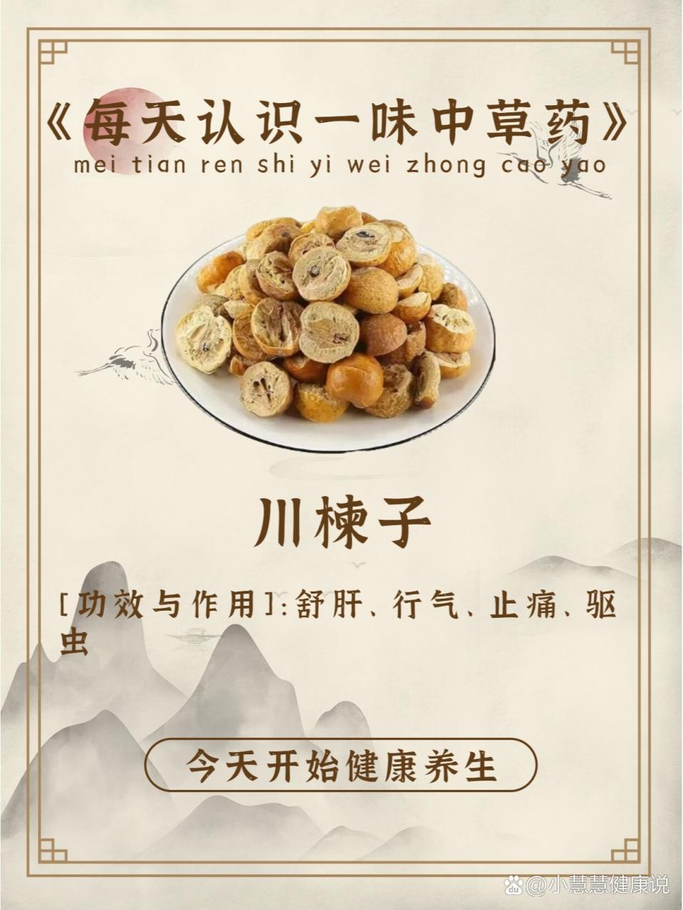 三、川楝子的常见用途