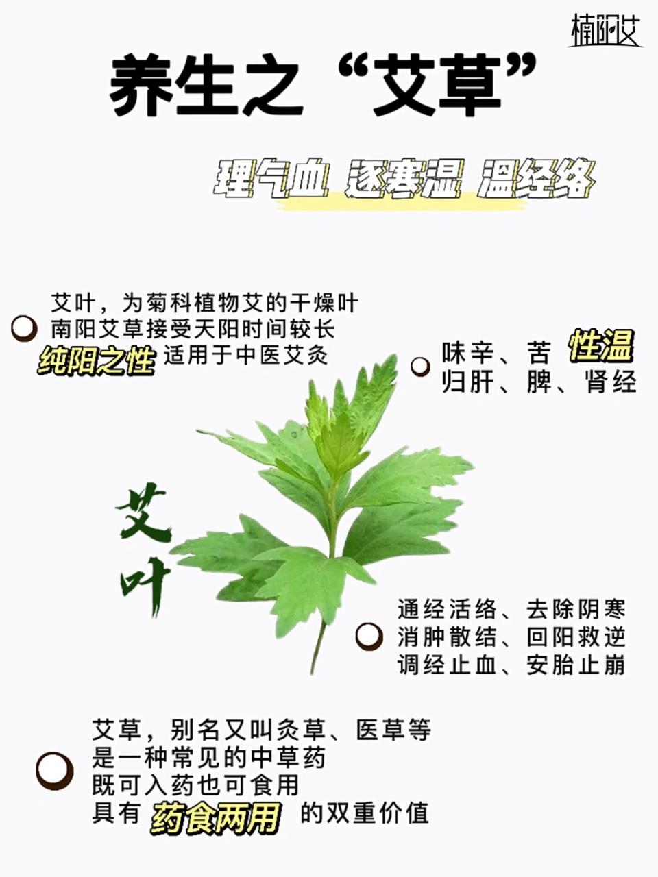 艾草的使用小贴士