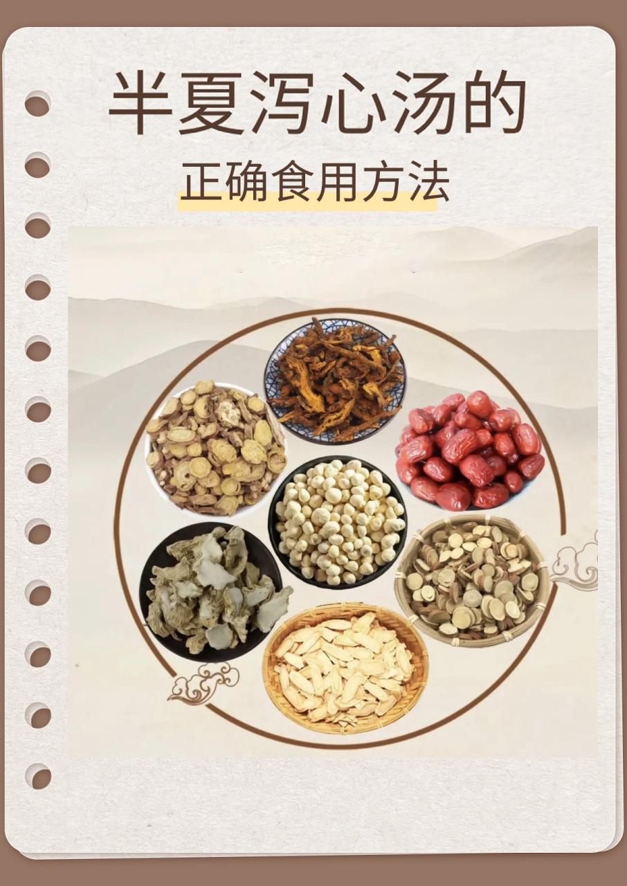 适合人群与使用建议