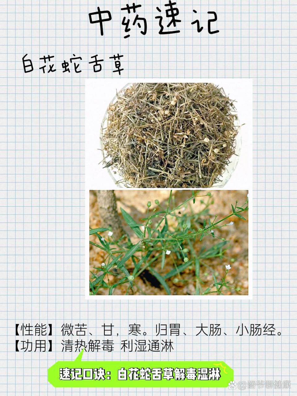 抗癌辅助,增强体质