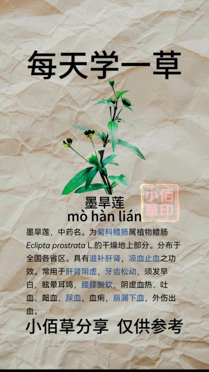 旱莲草的现代研究与应用