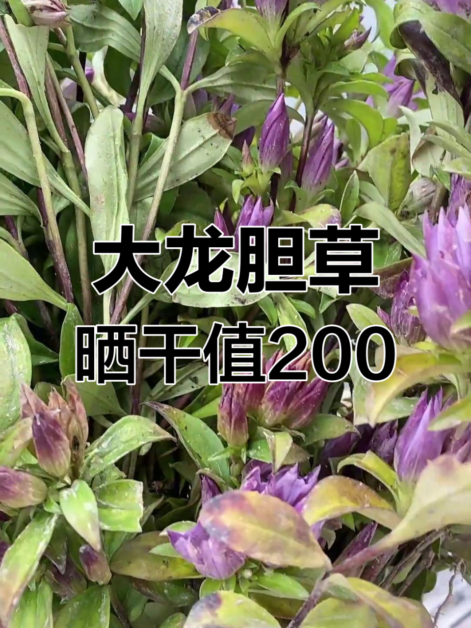 合理搭配,效果更佳