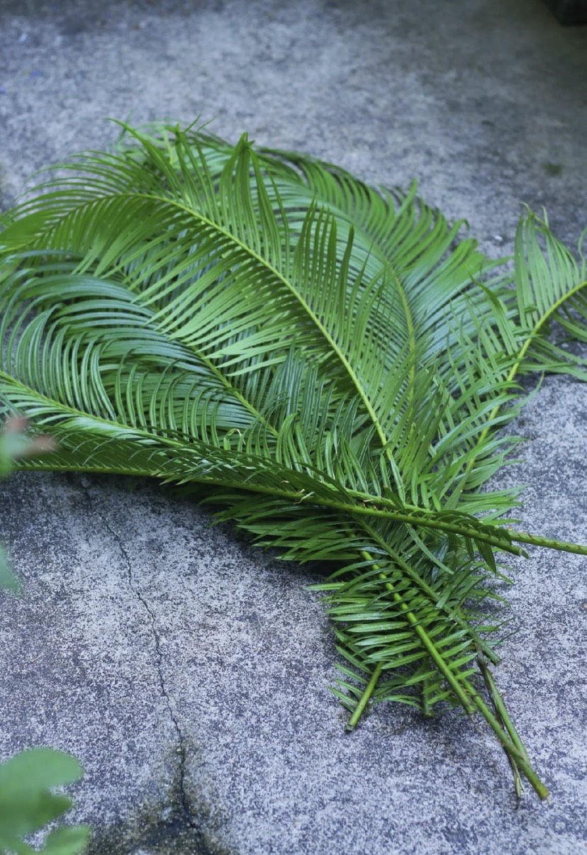 增强免疫力,调理身体