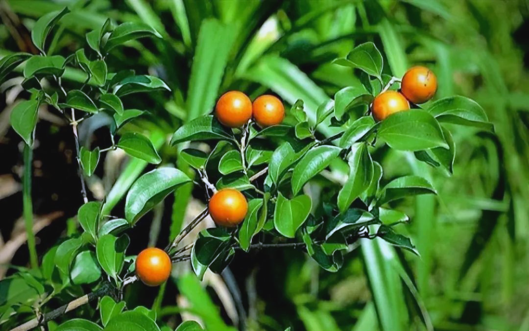 注意事项与合理使用