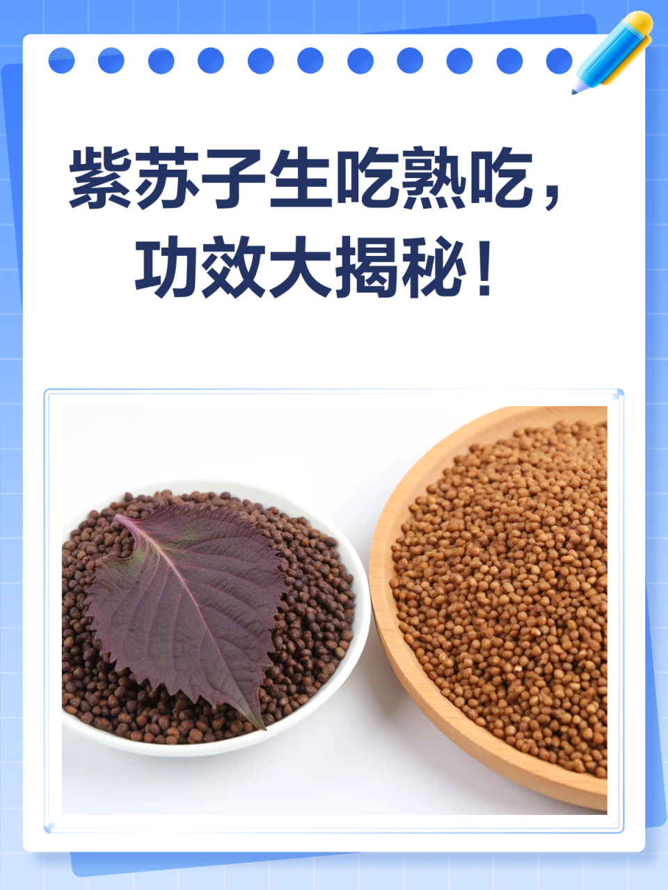 小小种子,大大能量