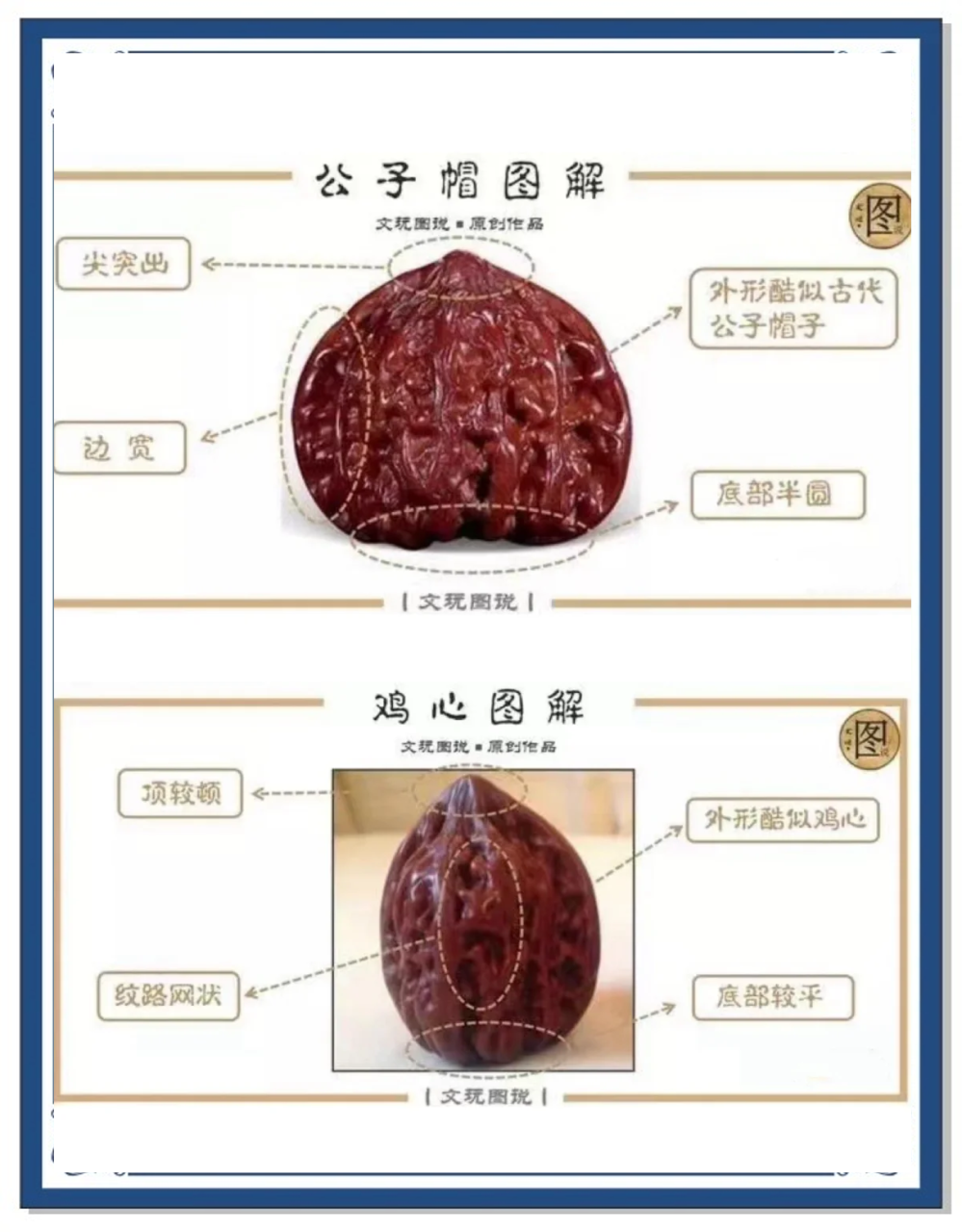 延缓衰老,增强免疫力