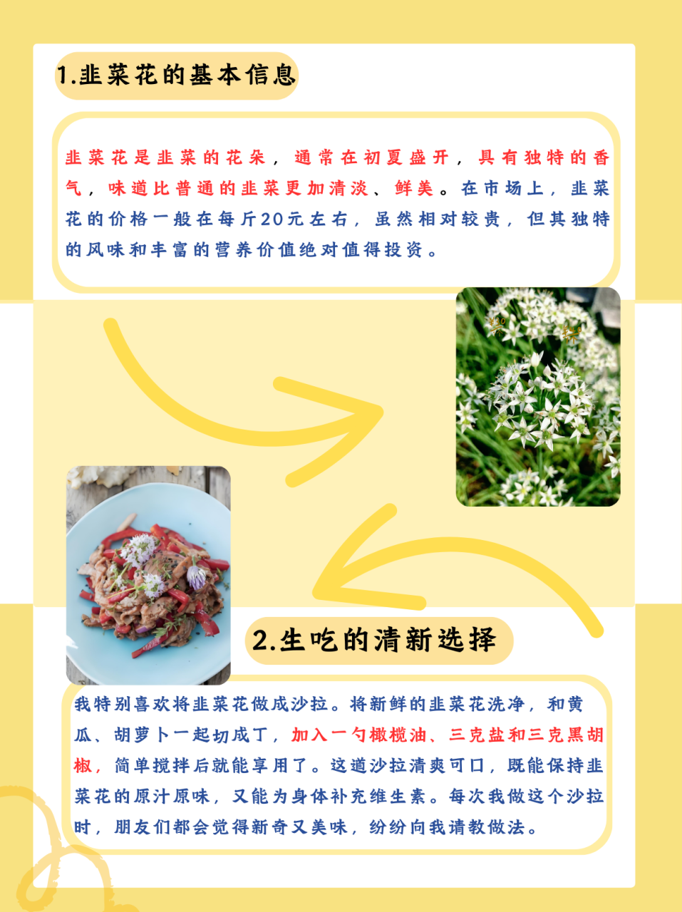 促进消化与排毒