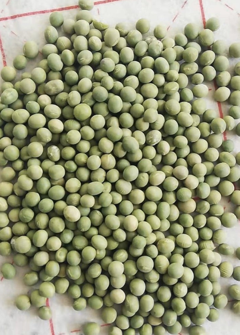 有助于消化与排毒