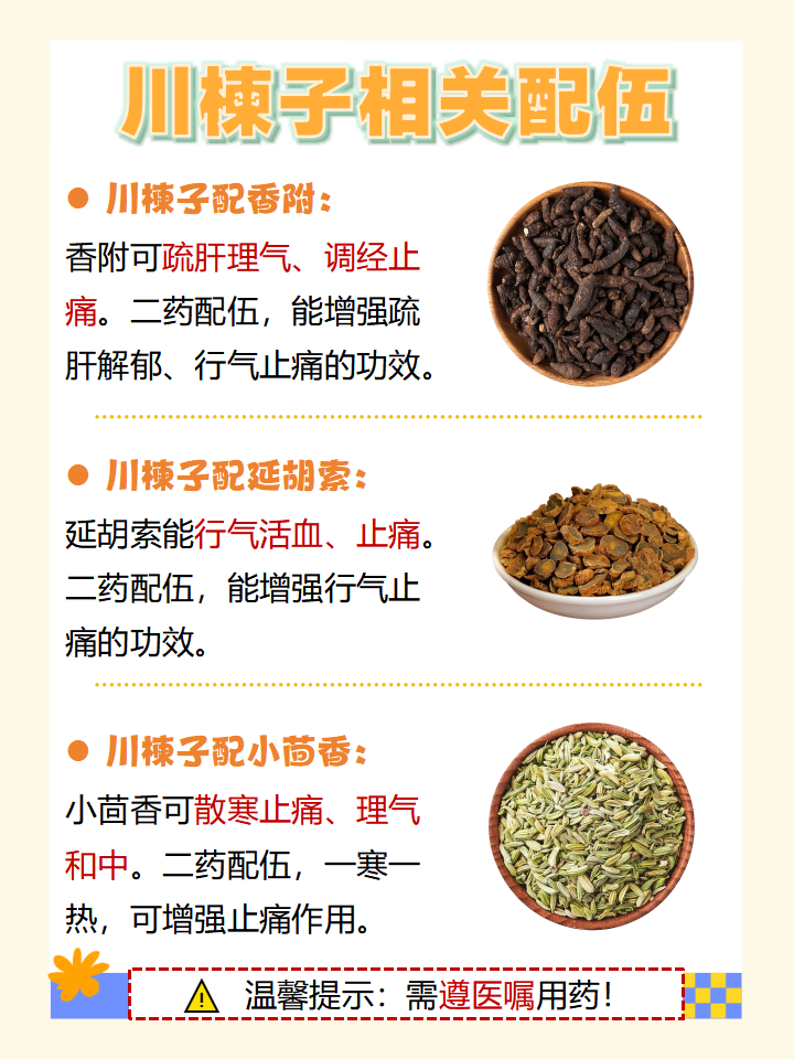 四、注意事项与合理使用