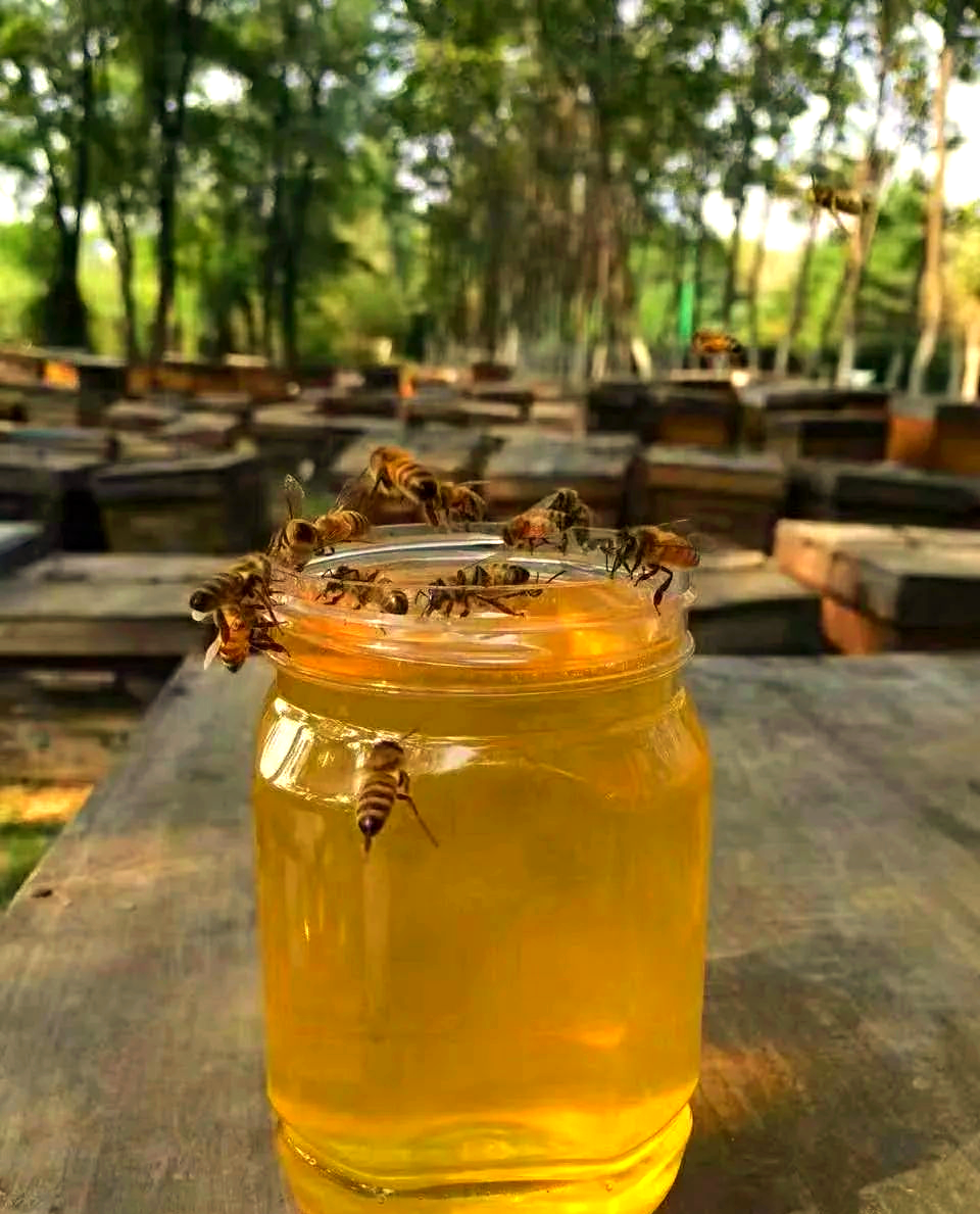 促进睡眠,安神助眠